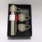 Steel Bottle Mug Set
